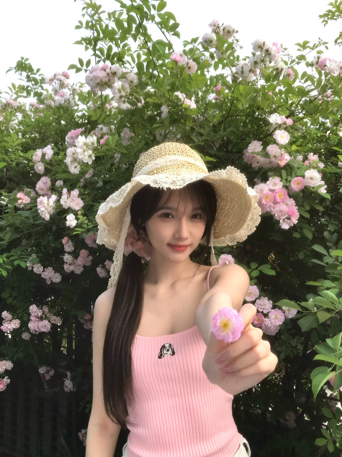疯狂动物城